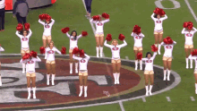 dancing cheerleaders synchronized 49ers energetic