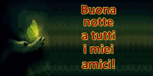 buona notte amici buona notte amici