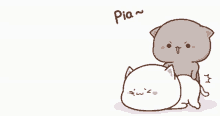 Cute Cat GIF - Cute Cat Peach GIFs