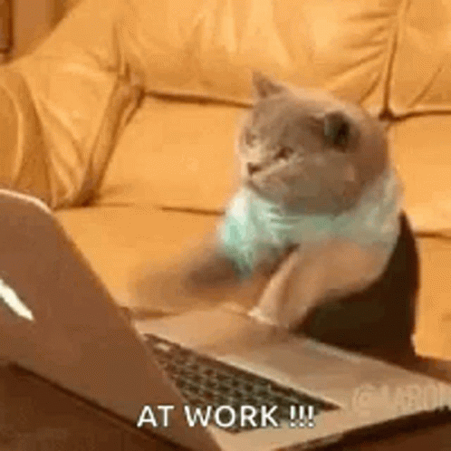 Travailler Gifs Tenor