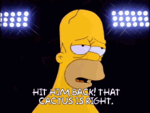 Simpsons Cactus GIF - Simpsons Cactus Homer GIFs
