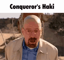 One Piece Conquerors Haki GIF - One Piece Conquerors Haki Conqueror Haki GIFs