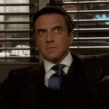 What Law And Order GIF - What Law And Order Svu GIFs