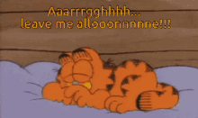 Leave Me Alone Aarrggghhh GIF - Leave Me Alone Aarrggghhh Garfield GIFs