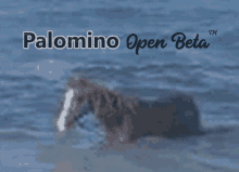 Palomino Rp Palominorp Palo Palomino Gmod Server GIF - Palomino Rp Palominorp Palo Palomino Gmod Server GIFs