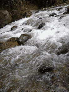 River Nature GIF - River Nature Stream GIFs