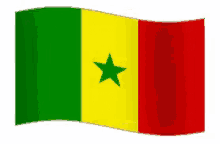 senegal flag flag