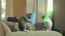 May The Force Be With You Cats GIF - May The Force Be With You Cats Light Saber GIFs
