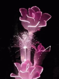 You Are Beautiful Changing Colors GIF - You Are Beautiful Changing Colors Bright Lights GIFs