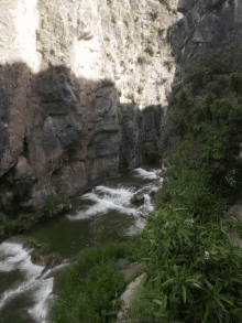 stream waters