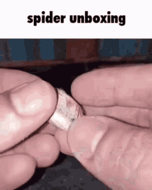Spider Unboxing GIF - Spider Unboxing Unboxing Spider GIFs