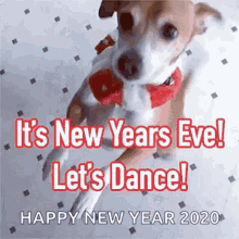 Happy New Year2020 New Years Eve GIF - Happy New Year2020 New Years Eve Dance GIFs