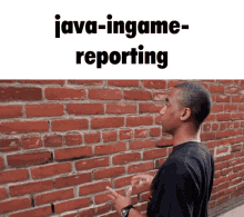 Hive Hivemc GIF - Hive Hivemc Java GIFs