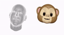 emoji animjoi monkey