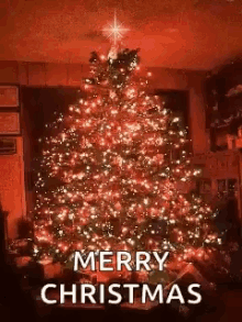 Christmas Tree Lights GIF - Christmas Tree Lights GIFs