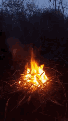 Burning Fure GIF - Burning Fure Cold GIFs