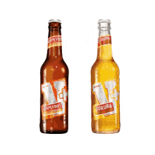 party beer cheers open bier party beer cheers open bier