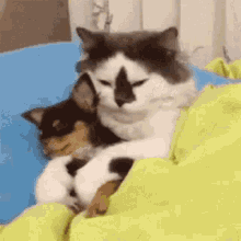 good sleep