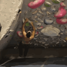 Wall Climbing People Are Awesome GIF - Wall Climbing People Are Awesome Go Up GIFs
