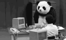 Tantrum Panda GIF - Tantrum Panda Angry GIFs