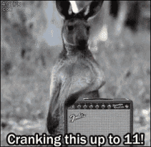 Kangaroo Crank GIF - Kangaroo Crank Up GIFs