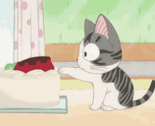 Cat Anime GIF - Cat Anime Cake GIFs