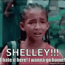 Home Shelley GIF - Home Shelley Hate GIFs