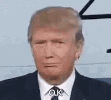 Donald Trump Ok GIF - Donald Trump Ok Raised Eyebrows GIFs