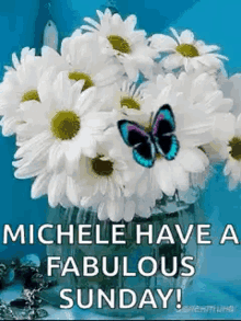 White Flowers Blue Butterfly GIF - White Flowers Blue Butterfly Have A Fabulous Sunday GIFs