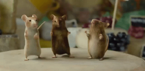dancing-mice-dancing-mouse.gif