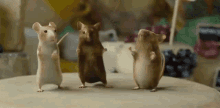 Dancing Mice Dancing Mouse GIF - Dancing Mice Dancing Mouse Dance GIFs