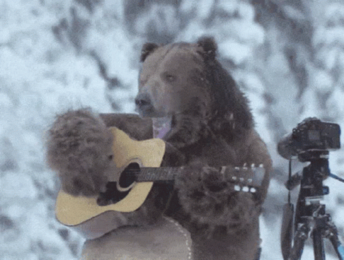 bear-guitar.gif