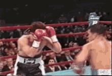 Arturo Gatti Knock Out GIF - Arturo Gatti Knock Out Boxing GIFs
