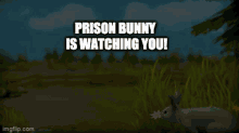 Bunny Prison GIF - Bunny Prison Prison Bunny GIFs