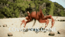 Covid19is Gone Crab Dance GIF - Covid19is Gone Crab Dance Meme GIFs