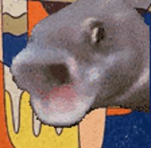 Superlative Repus Pogfish GIF - Superlative Repus Pogfish Fish Pog GIFs
