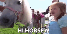 hi horsey princess brushing grooming horse