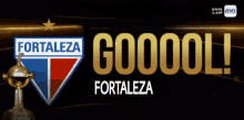 Fortaleza Ec GIF - Fortaleza Ec Libertadores GIFs