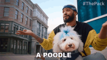 A Poodle The Pack GIF - A Poodle The Pack A Dog GIFs