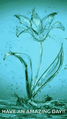 Water Flower GIF - Water Flower Cute GIFs
