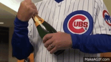 Cubs Chicago Cubs GIF - Cubs Chicago Cubs World Series GIFs