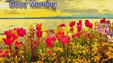 Good Morning Water GIF - Good Morning Water Changing Colors GIFs