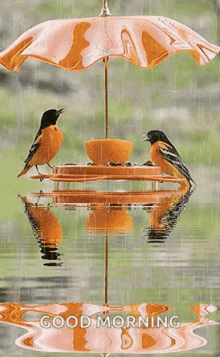 Good Morning Raining GIF - Good Morning Raining Couple GIFs