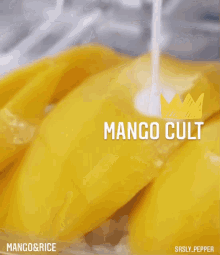 Mango Cult Mango Rice GIF - Mango Cult Mango Mango Rice GIFs