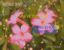 Dao Vancan Flower GIF - Dao Vancan Flower Hearts GIFs