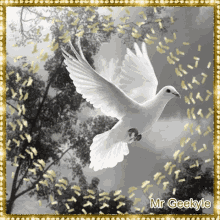Mrgeekyle Dove GIF - Mrgeekyle Dove White GIFs
