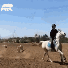 Horseback Riding Naturee GIF - Horseback Riding Horse Riding GIFs