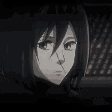 Mikasa Shingeki GIFs | Tenor