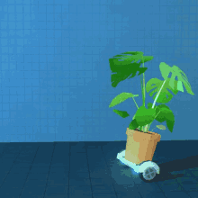 Plant Hoverboard GIF - Plant Hoverboard Houseplant GIFs