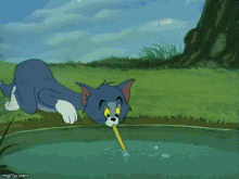Tom And Jerry Pop GIF - Tom And Jerry Pop Tom GIFs